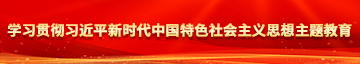 操嫩b女人学习贯彻习近平新时代中国特色社会主义思想主题教育